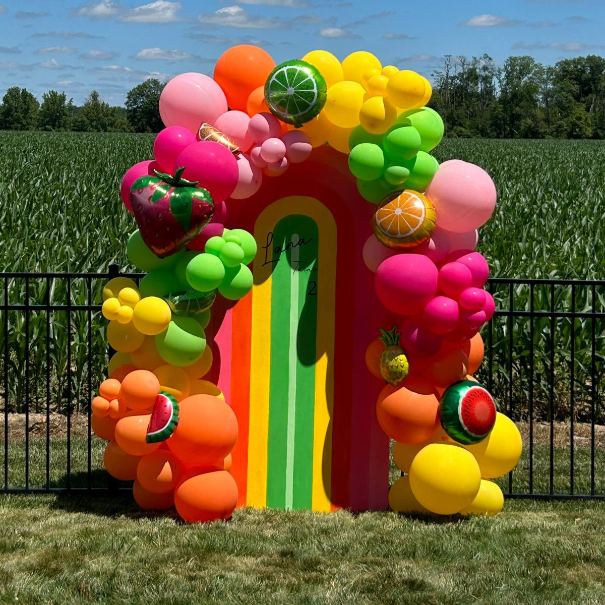 organic balloon garland and backdrop - Editado organic balloon garland and backdrop